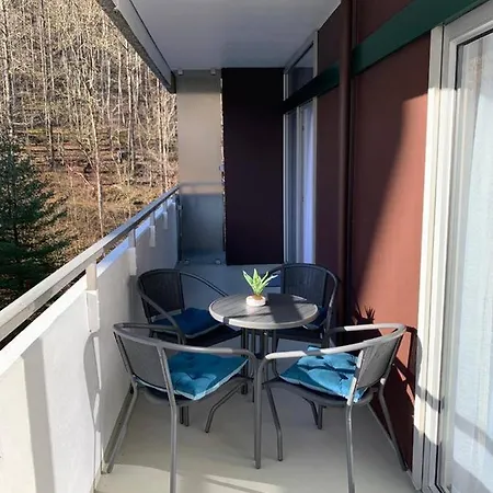 Apartamento Mariposa 3 Incl Pool & Sauna Bad Harzburg
