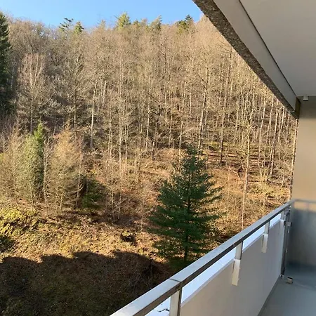 Mariposa 3 Incl Pool & Sauna Bad Harzburg