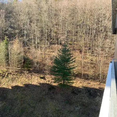 Appartamento Mariposa 3 Incl Pool & Sauna *