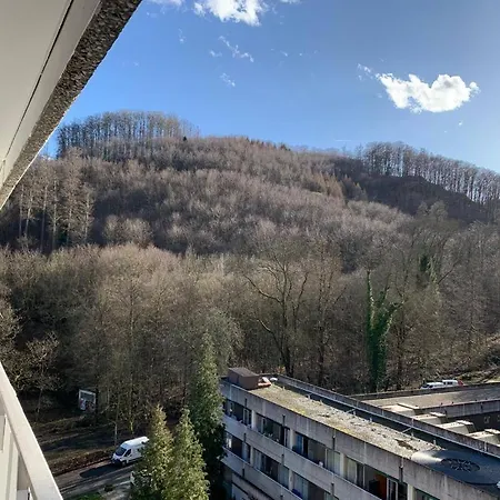 Mariposa 3 Incl Pool & Sauna * Bad Harzburg
