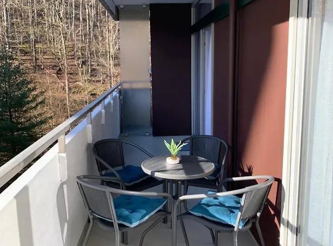 Appartement Mariposa 3 Incl Pool & Sauna Bad Harzburg