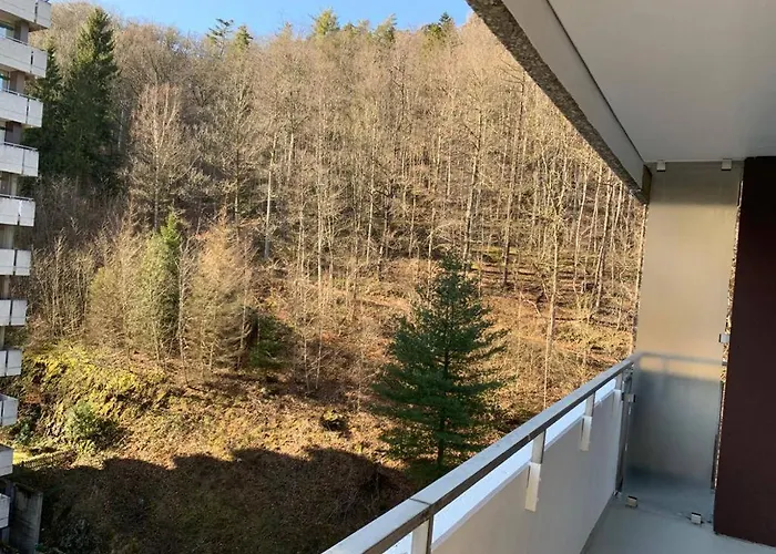 Mariposa 3 Incl Pool & Sauna Bad Harzburg